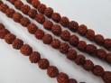Mala rudrakasha 80 cm/108 kuliček