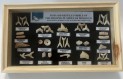 Box fossils teeth from Maroc