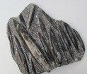 Orthoceras - deska 30  cm - Maroko - č.8