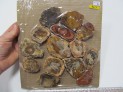Araukarit - broušené plátky - Madagaskar